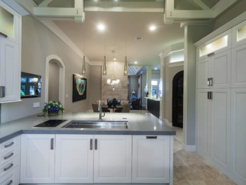 Leaves You Jonesin 3 contemporary kitchen with open peninsula and Galley Workstation stainless steel kitchen sink